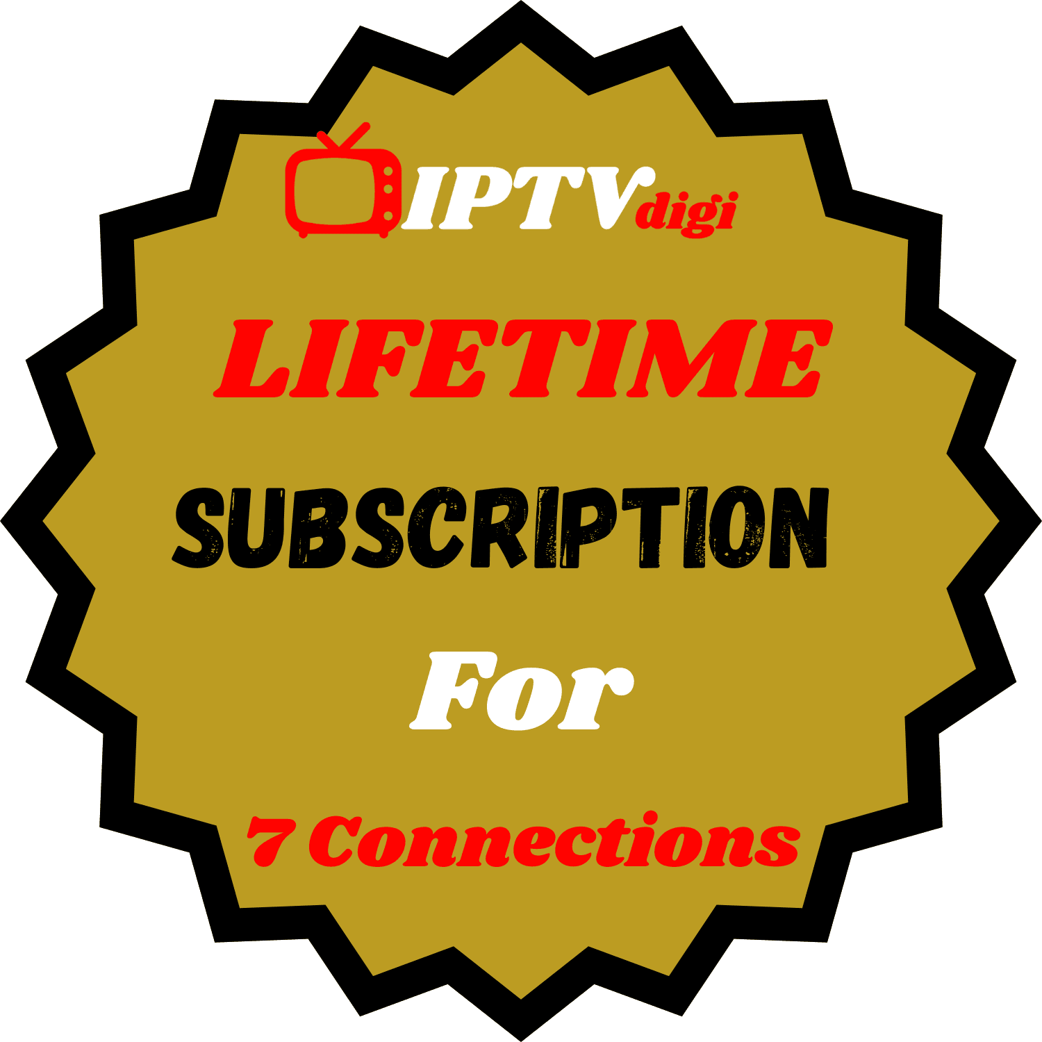 Lifetime IPTV Subscription For 7 Connections