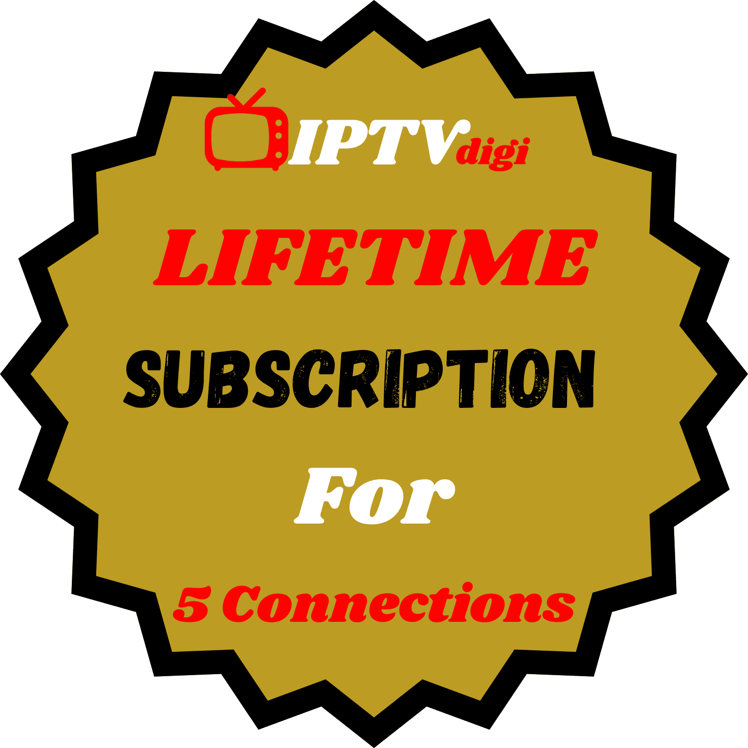 Lifetime IPTV Subscription For 5 Connections